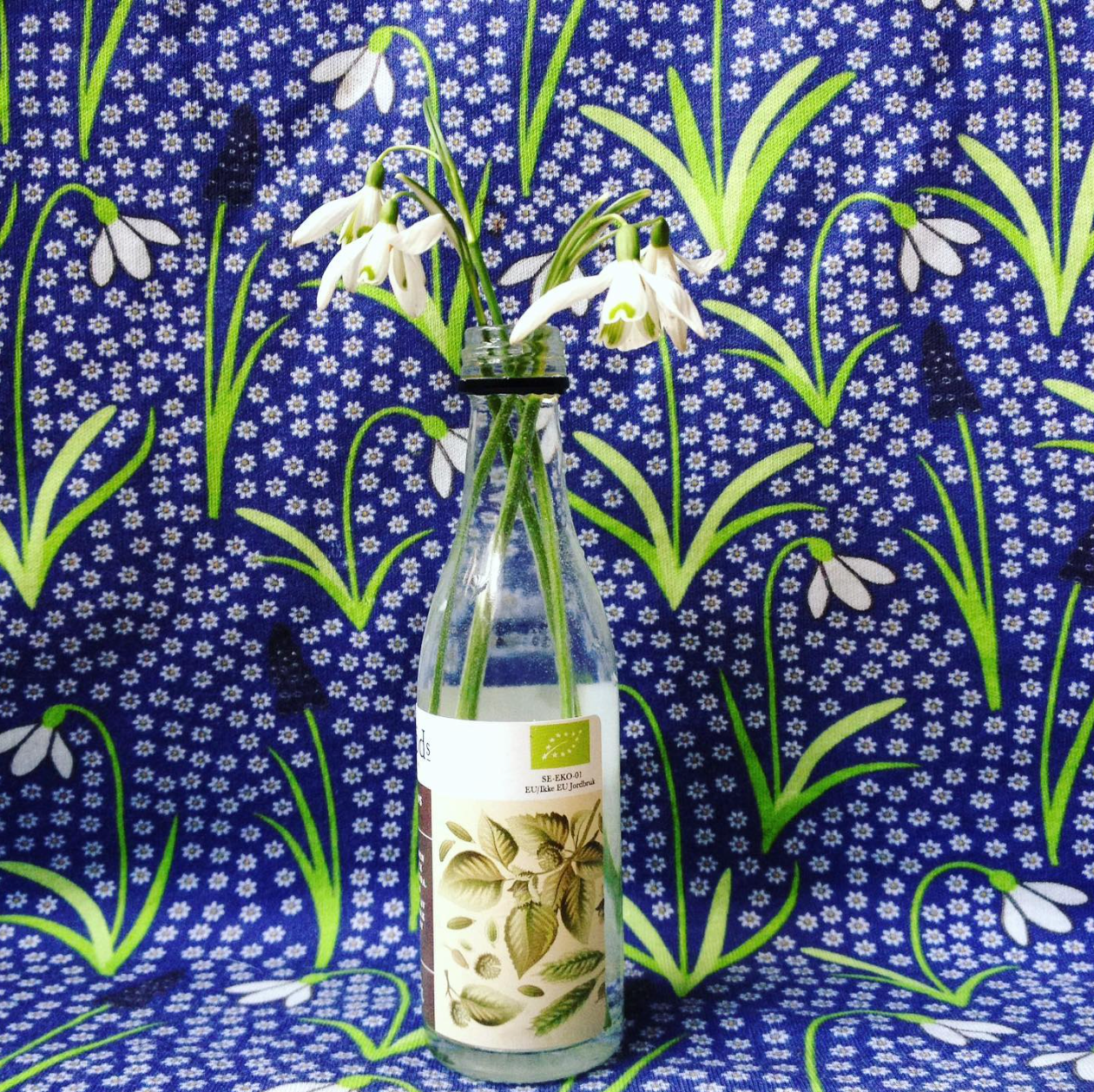 Sneeuwklokjes - Snowdrops