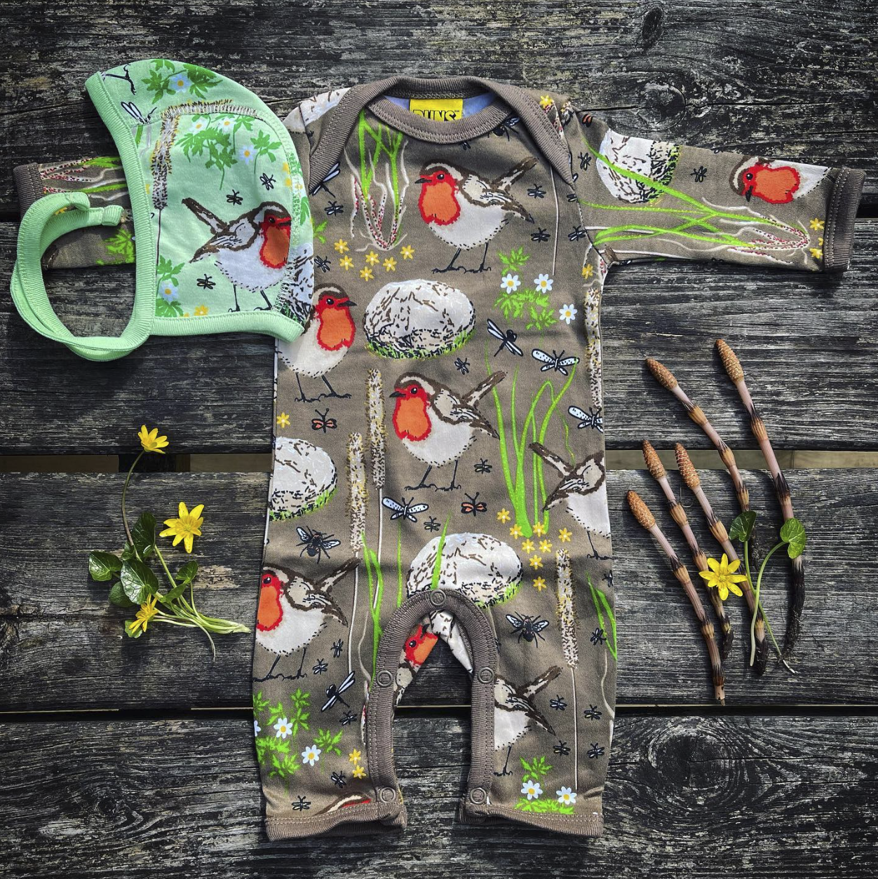 Roodborstjes - Robins