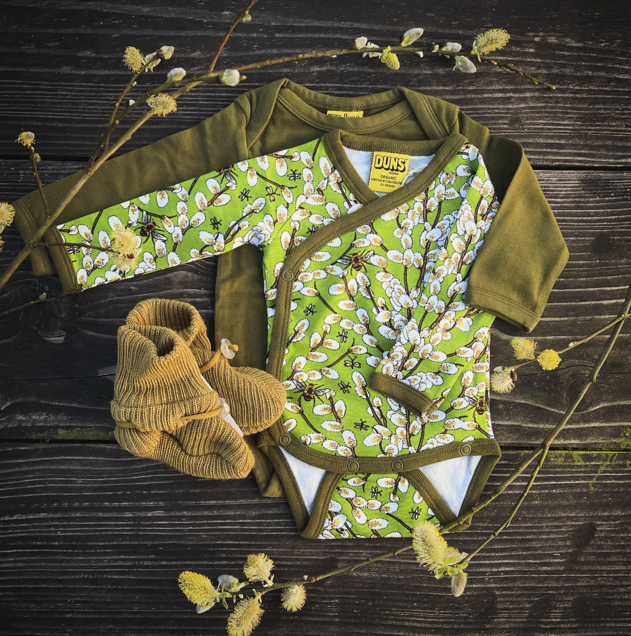 Salix - Wilgenkatjes