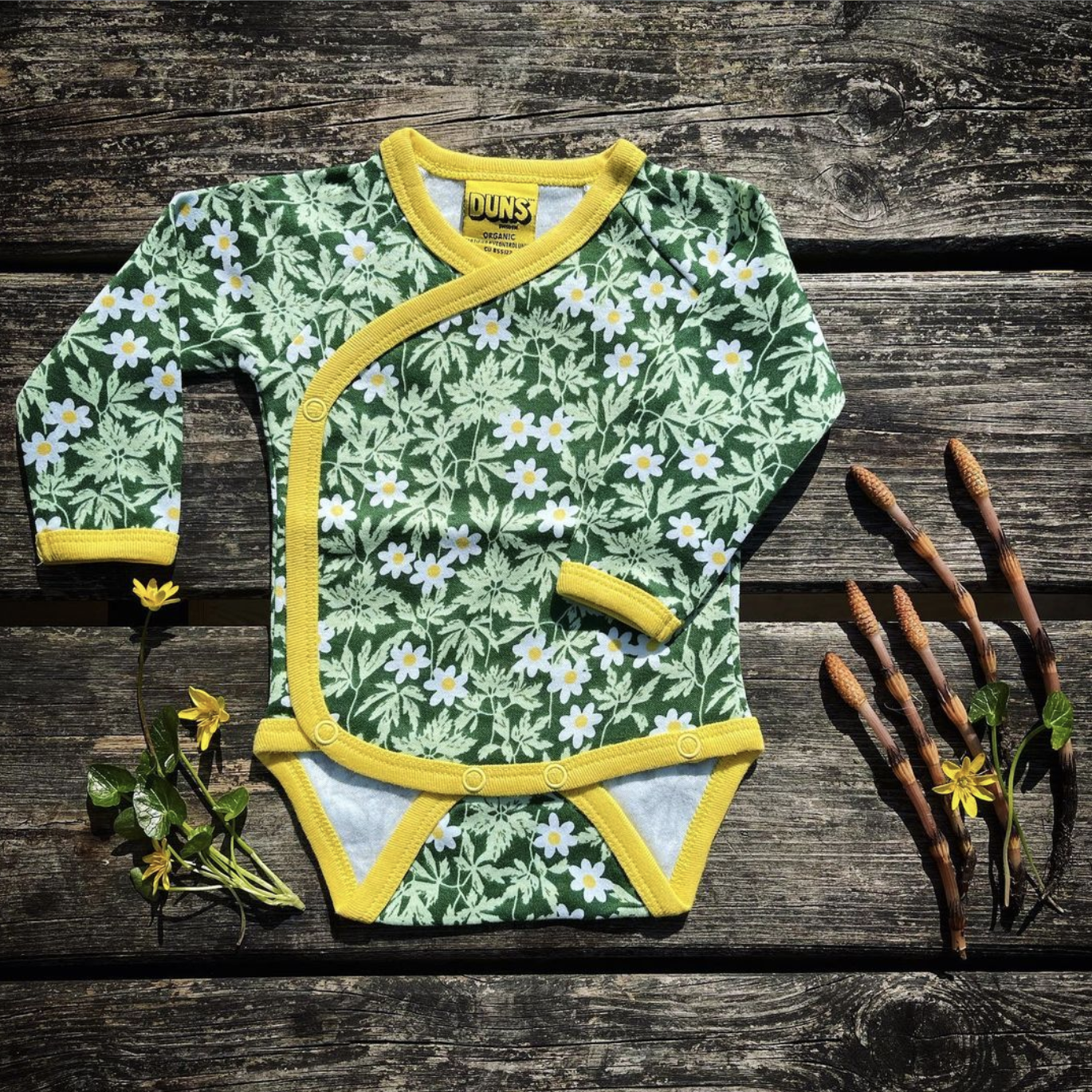 Anemone - Anemoontjes