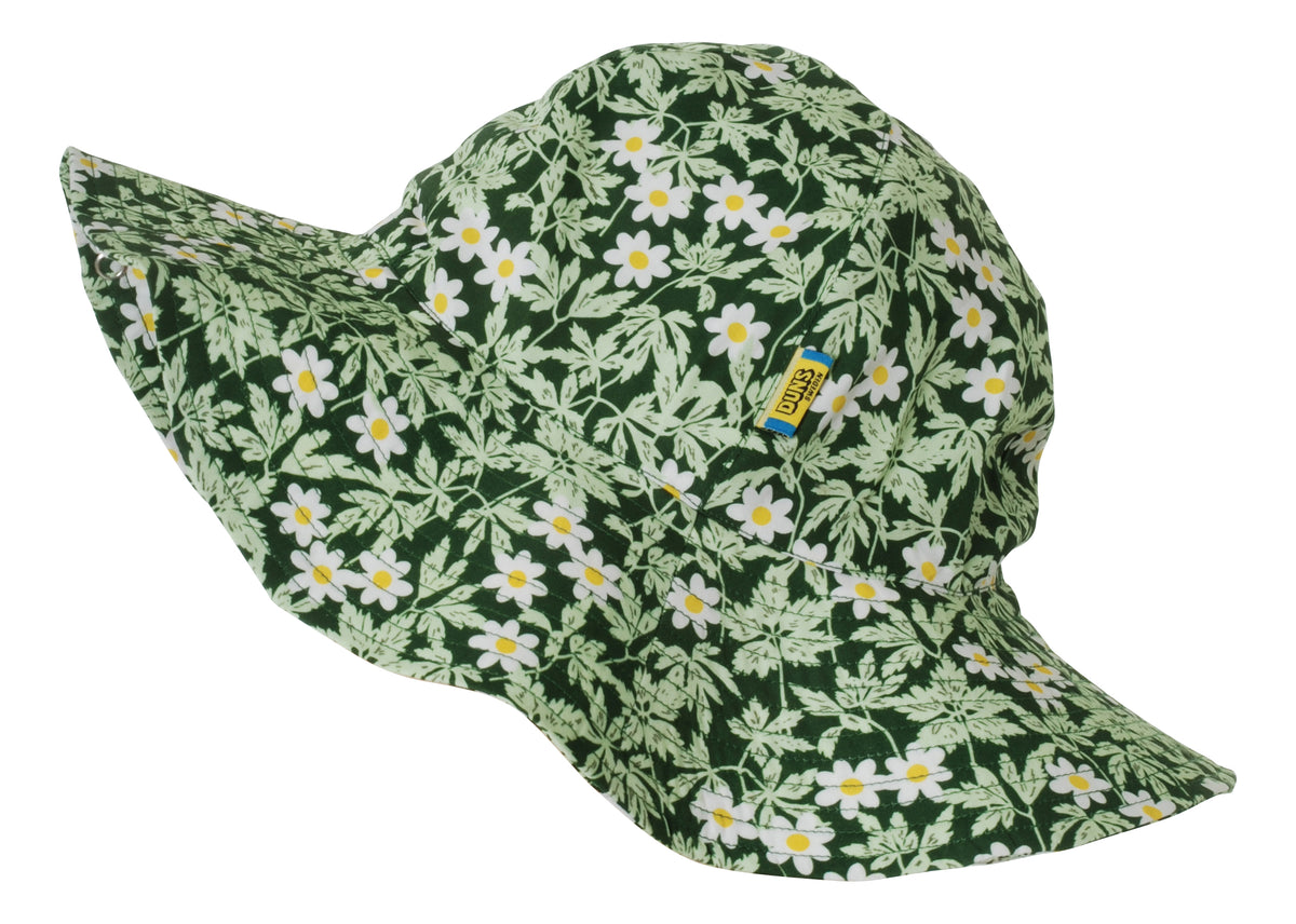 Duns Sweden Sunhat Wood Anemone Green - Coneflower Wood Anemone Green