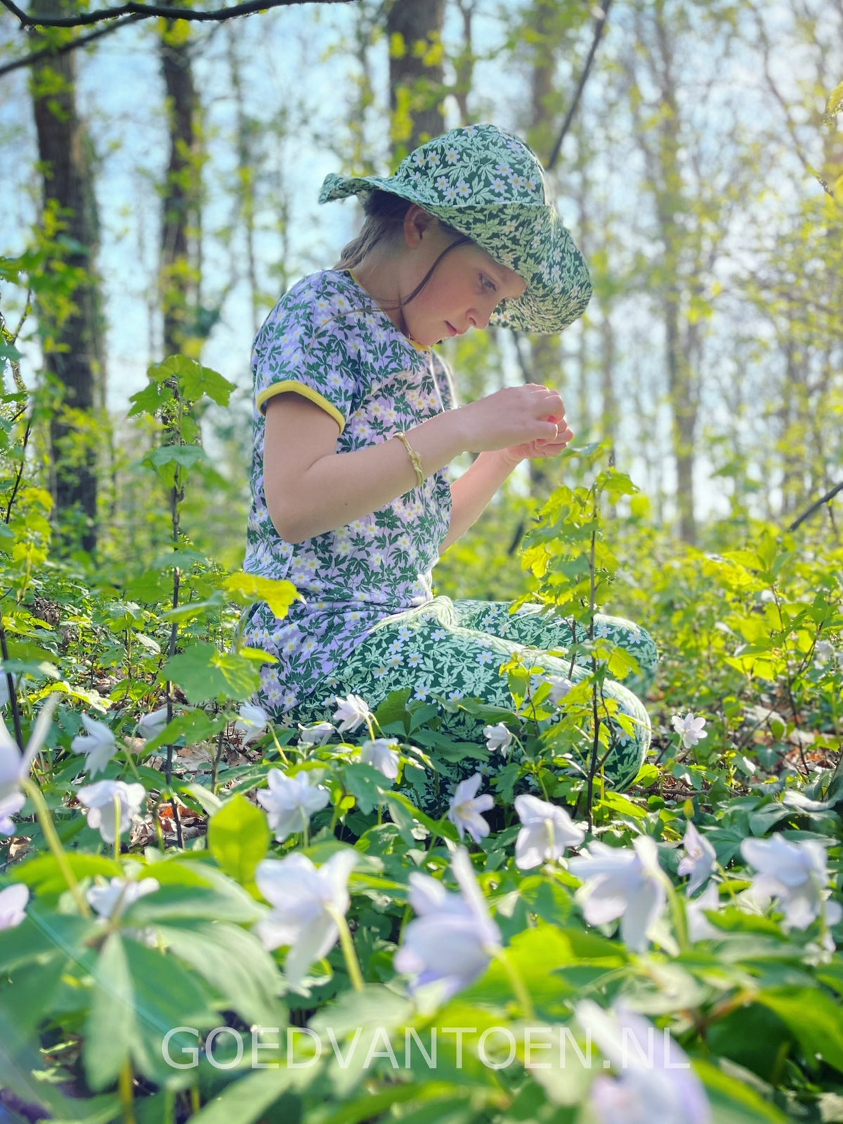 Duns Sweden Sunhat Wood Anemone Green - Coneflower Wood Anemone Green